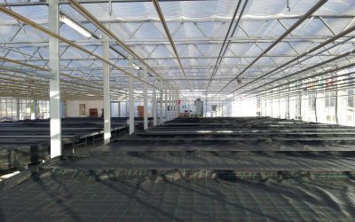 aquaponic rooftop farm in Bad Ragaz (ECF), Switzerland (2014)