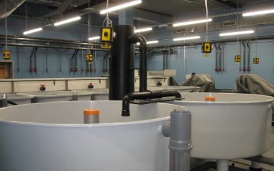 Aquaculture facility of the Thünens Institute in Bremerhaven, Germany (2016 to 2018)